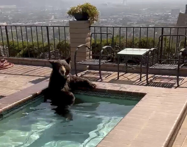 Phoenix hits another 110-degree day 