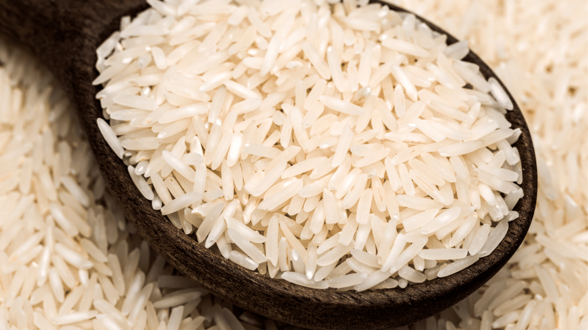 Rice