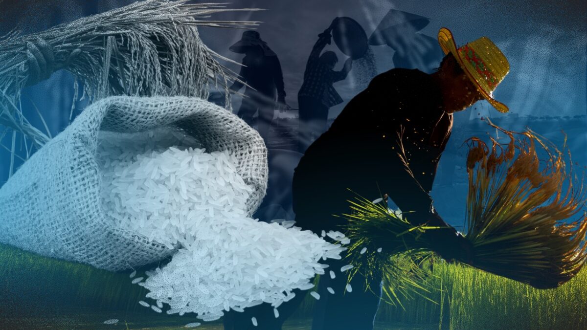 P20 rice, real cost: Who gains, who pays in Marcos’ flagship subsidy?