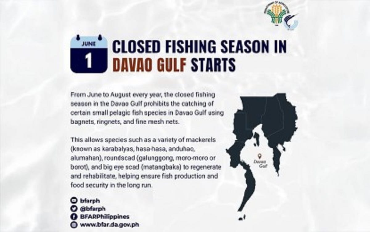 Davao Gulf closed fishing season starts